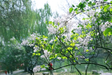 4B6A6344fu
