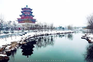 DSCF1350_