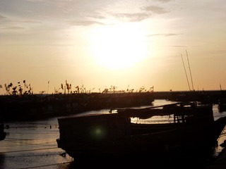 SAM_1451_