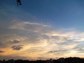 SAM_0250