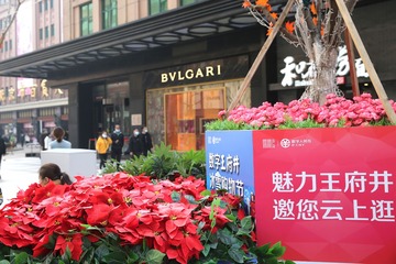 牡丹