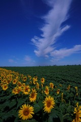 DSC08503_1