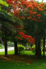DSC02572_1