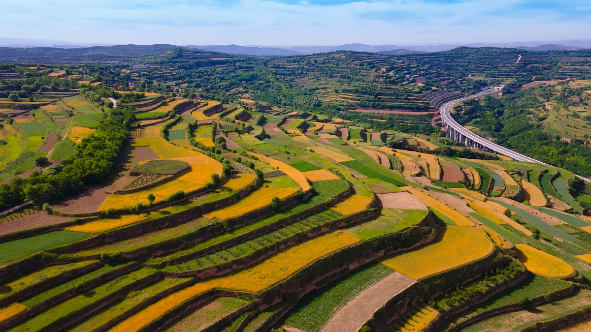 魅力梯田人文庄浪