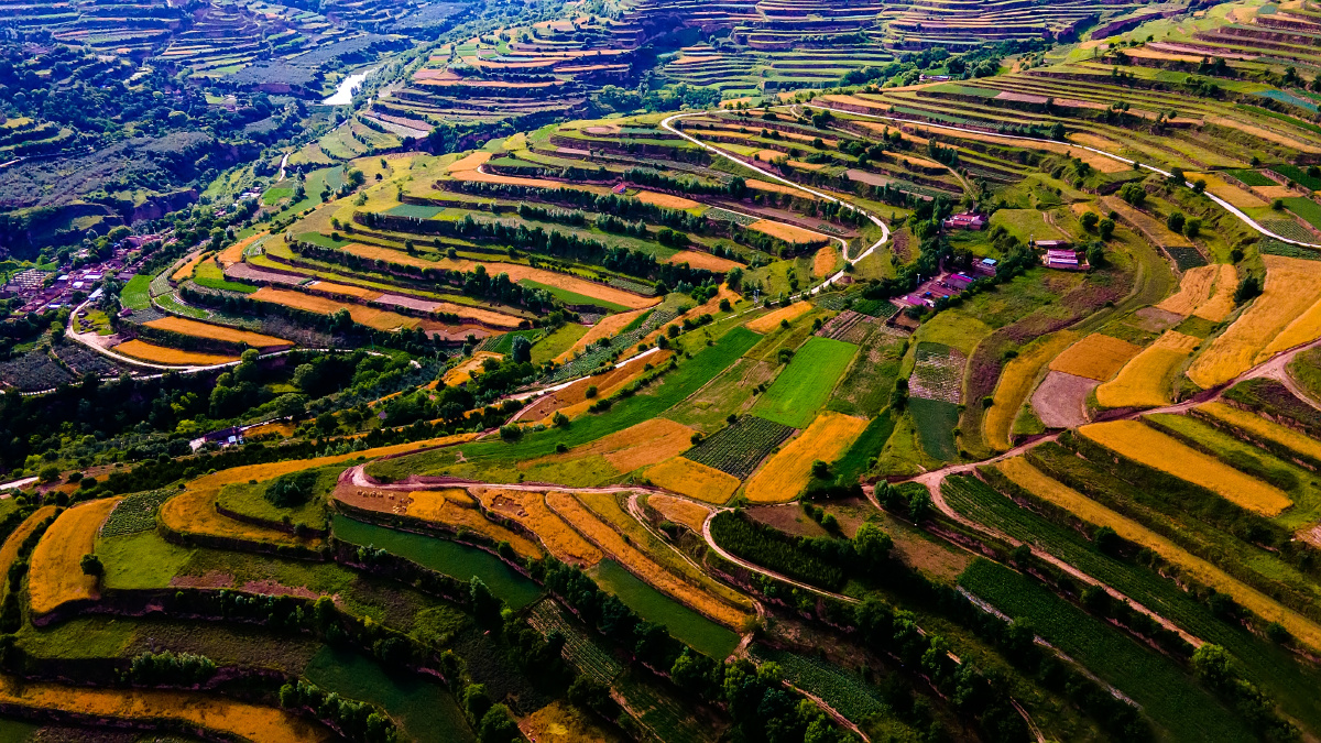 魅力梯田人文庄浪