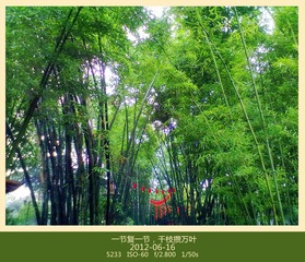20120616164_
