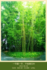 20120616167_