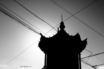 纯粹7