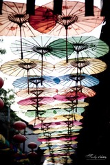 五彩缤纷