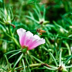IMG_5591.jpg