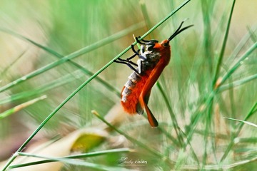 IMG_5596.jpg
