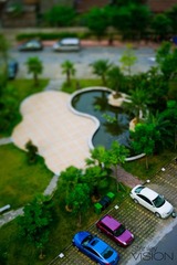 DSC09390.jpg
