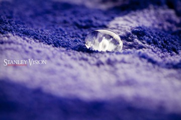 IMG_0961.jpg