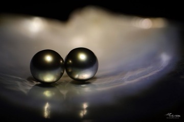 4P7A0786.JPG