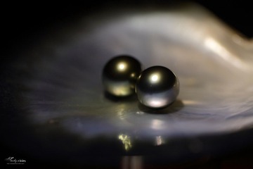 4P7A0787.JPG