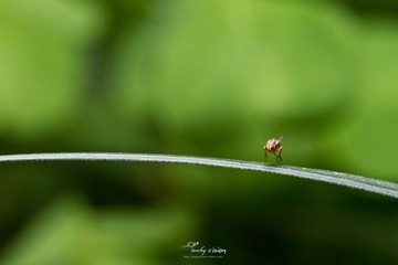 IMG_0002.jpg