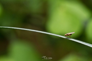 IMG_0003.jpg