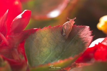 IMG_9914.jpg