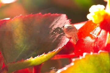 IMG_9915.jpg