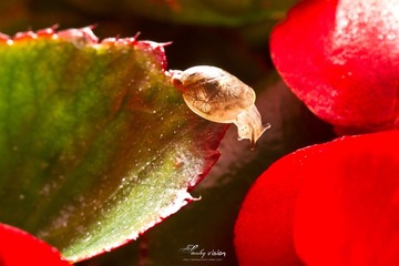 IMG_9920.jpg