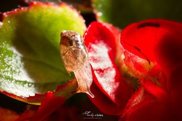 IMG_9922.jpg