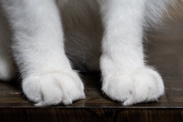 1207