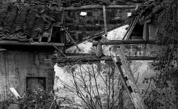 _DSC2666-5