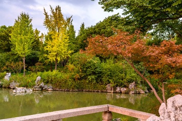_DSC0585-11