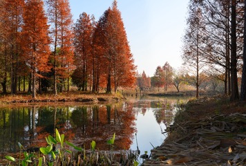 初冬乡村.苏州.中国