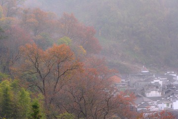 _DSC0990-6