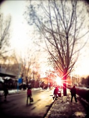 20101110938-3.jpg