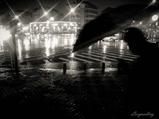 WP_000194.jpg