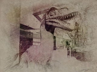 DSCN2021_
