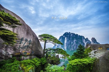 黄山·迎客松