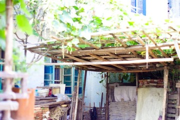 IMGP3895