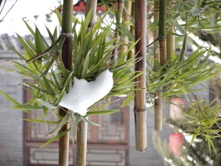 PICT_20140208_101506