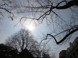20140222_105730
