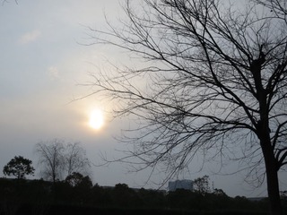 20140222_075021
