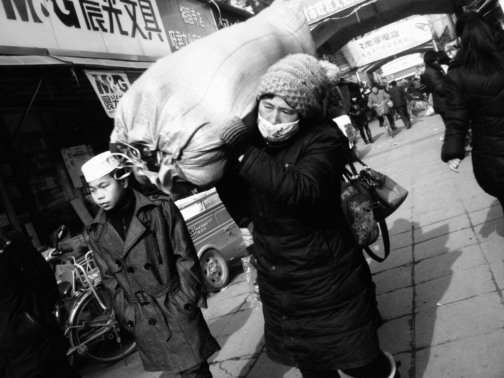 野狗集