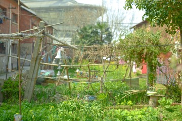 DSC_1406-2