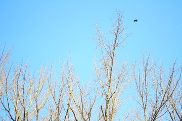 IMG_1834_