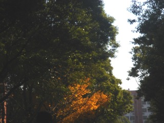 121832