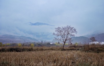 原野2