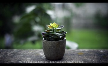 _SJ11672