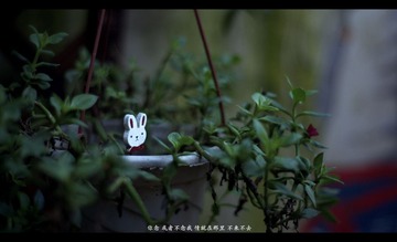 _SJ11719