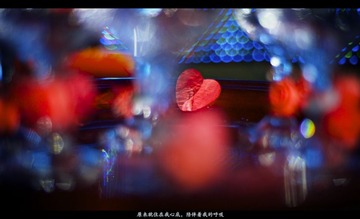 _SJ14146 (1)