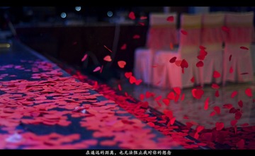 _SJ14166