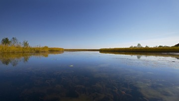 _SJ14280