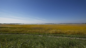 _SJ14234