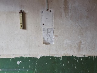 CF000739